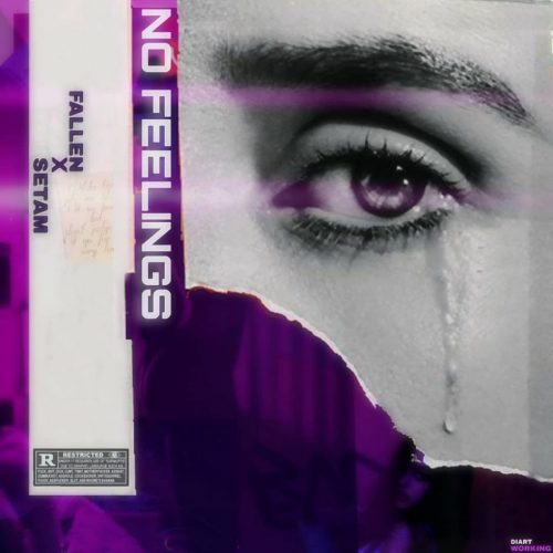 Setam  –  No Feelings (Ft Fallen)